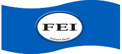 Header Stating FEI, INC.